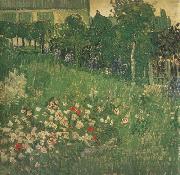 Vincent Van Gogh, Daubigny's Garden (nn04)